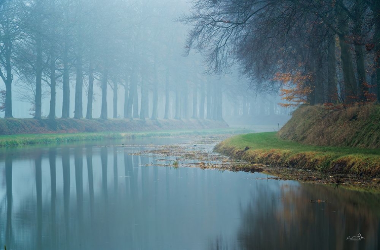 Picture of FOGGY REFLECTIONS   