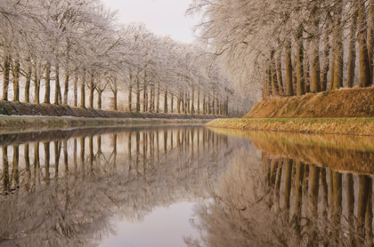 Picture of FROSTY REFLECTIONS