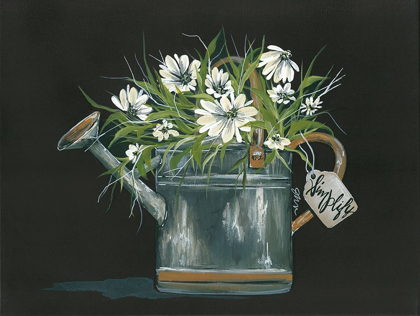 Picture of WATERING CAN DAISY