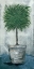 Picture of BOHO TREE