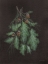 Picture of OAK AND ACORN