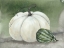 Picture of SUNNY DAY PUMPKINS II