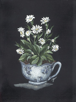 Picture of TEA CUP DAISIES