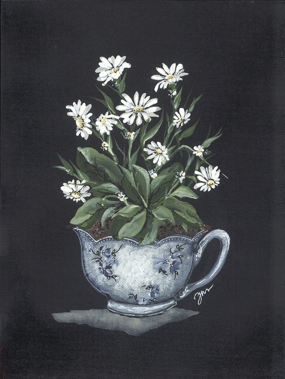 Picture of TEA CUP DAISIES
