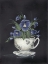 Picture of TEA CUP VIOLETS