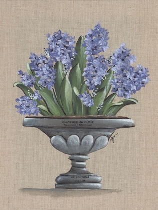 Picture of HYACINTH URN
