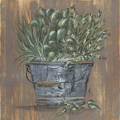 Picture of HERB TRIO IN PAIL