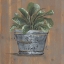 Picture of PRETTY PLANT IN PAIL