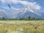 Picture of FREEDOM WITHIN RANGE