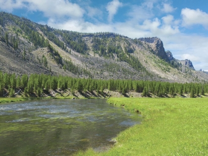 Picture of VERDANT VALLEY