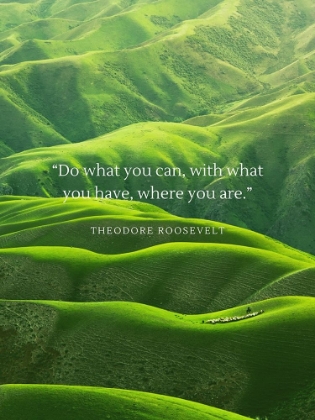 Picture of THEODORE ROOSEVELT QUOTE: DO WHAT YOU CAN