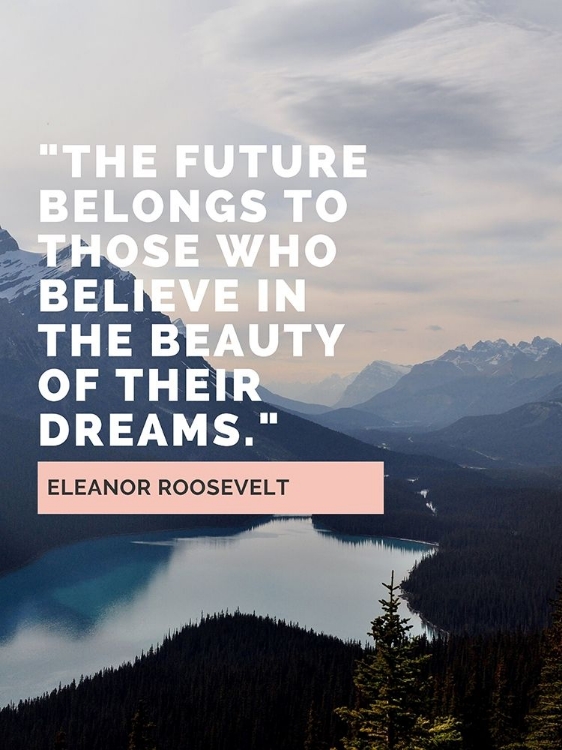 Picture of ELEANOR ROOSEVELT QUOTE: THE FUTURE BELONGS