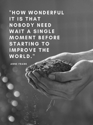 Picture of ANNE FRANK QUOTE: IMPROVE THE WORLD
