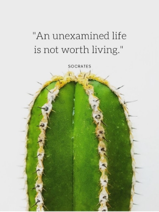 Picture of SOCRATES QUOTE: UNEXAMINED LIFE