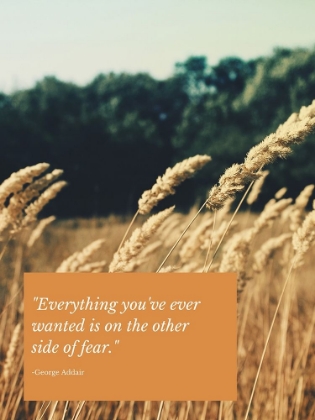 Picture of GEORGE ADDAIR QUOTE: OTHER SIDE OF FEAR