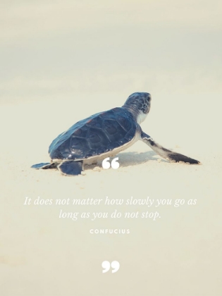 Picture of CONFUCIUS QUOTE: DO NOT STOP