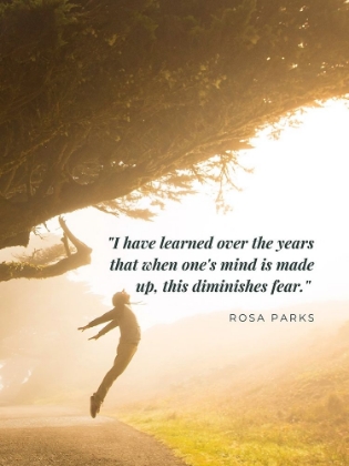 Picture of ROSA PARKS QUOTE: DIMINISHES FEAR