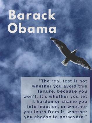 Picture of BARACK OBAMA QUOTE: THE REAL TEST