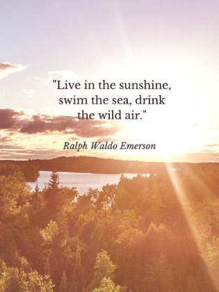 Picture of RALPH WALDO EMERSON QUOTE: SWIM THE SEA