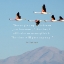 Picture of EARL NIGHTINGALE QUOTE: NEVER GIVE UP