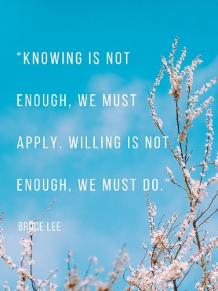 Picture of BRUCE LEE QUOTE: WE MUST APPLY