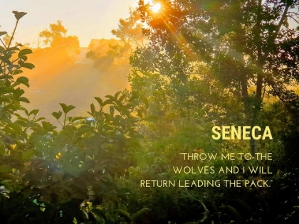 Picture of SENECA QUOTE: LEADING THE PACK