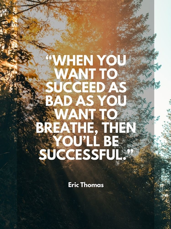 Picture of ERIC THOMAS QUOTE: YOULL BE SUCCESSFUL