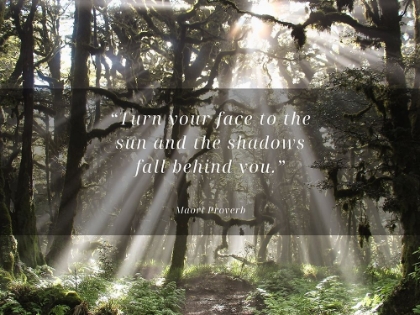 Picture of MAORI PROVERB QUOTE: FACE TO THE SUN