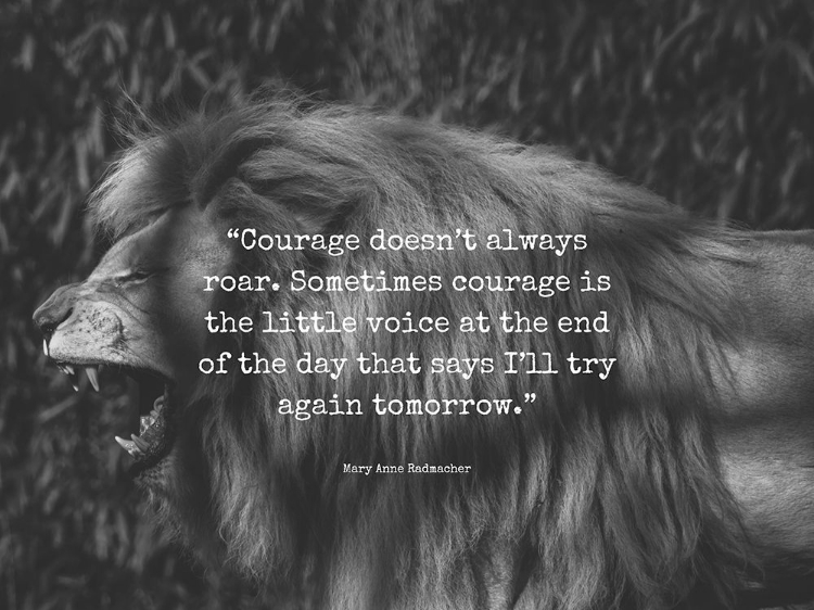 Picture of MARY ANNE RADMACHER QUOTE: COURAGE