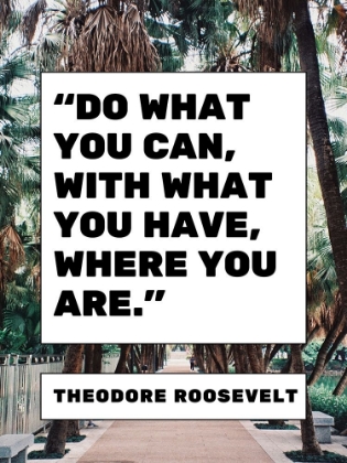 Picture of THEODORE ROOSEVELT QUOTE: WHAT YOU HAVE