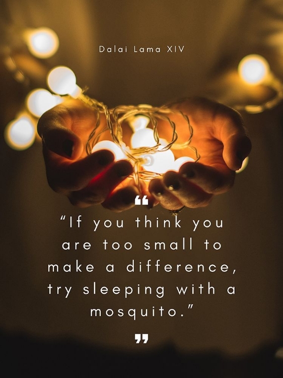 Picture of DALAI LAMA QUOTE: TOO SMALL