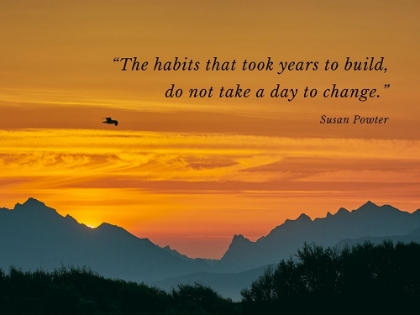 Picture of SUSAN POWTER QUOTE: THE HABITS