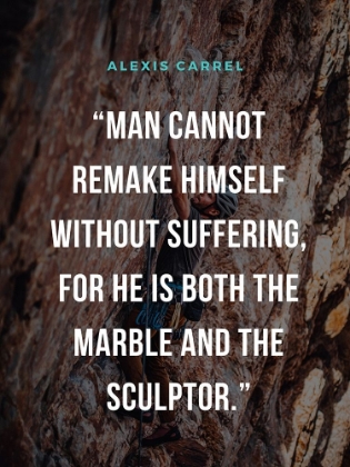 Picture of ALEXIS CARREL QUOTE: MARBLE AND SCULPTOR