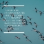 Picture of HUNTER S. THOMPSON QUOTE: PROCRASTINATES