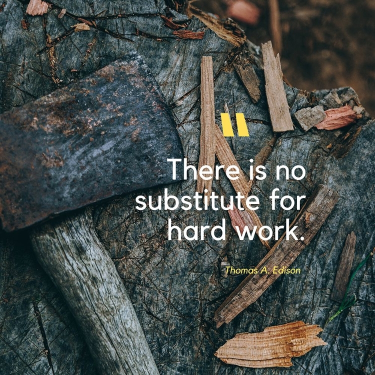 Picture of THOMAS EDISON QUOTE: NO SUBSTITUTE