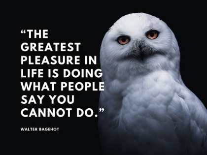 Picture of WALTER BAGEHOT QUOTE: PLEASURE IN LIFE