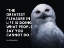 Picture of WALTER BAGEHOT QUOTE: PLEASURE IN LIFE
