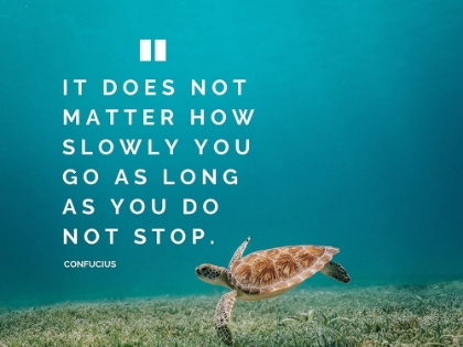 Picture of CONFUCIUS QUOTE: DOES NOT MATTER