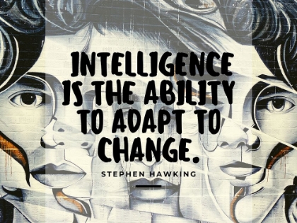 Picture of STEPHEN HAWKING QUOTE: ADAPT TO CHANGE