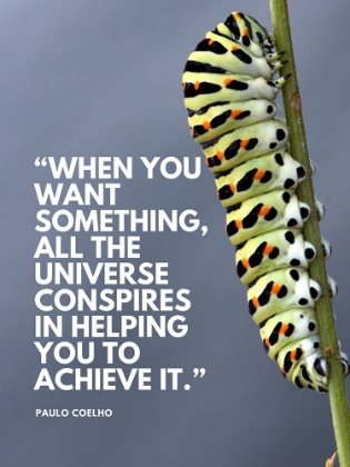 Picture of PAULO COELHO QUOTE: WANT SOMETHING