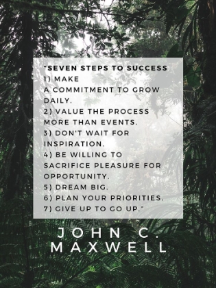 Picture of JOHN C. MAXWELL QUOTE: SEVEN STEPS TO SUCCESS