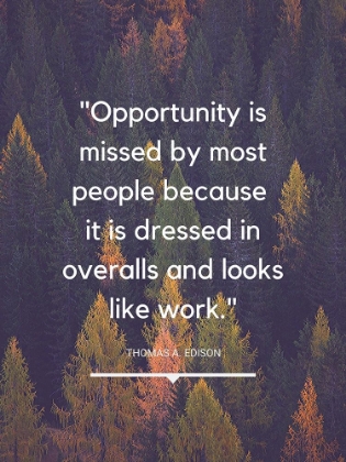 Picture of THOMAS EDISON QUOTE: OPPORTUNITY MISSED
