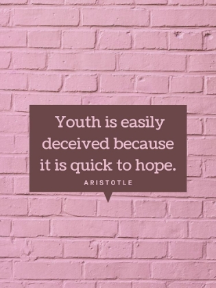 Picture of ARISTOTLE QUOTE: YOUTH