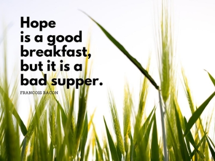 Picture of FRANCOIS BACON QUOTE: HOPE