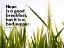 Picture of FRANCOIS BACON QUOTE: HOPE