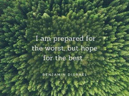 Picture of BENJAMIN DISRAELI QUOTE: PREPARED FOR THE WORST