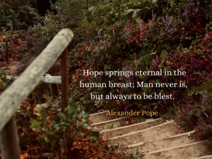 Picture of ALEXANDER POPE QUOTE: HOPE SPRINGS ETERNAL