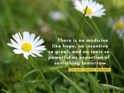 Picture of ORISON SWETT MARDEN QUOTE: EXPECTATION