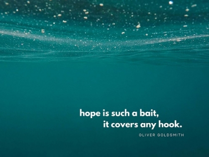 Picture of OLIVER GOLDSMITH QUOTE: HOPE