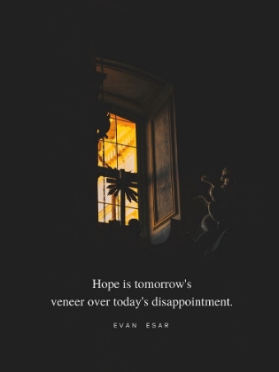 Picture of EVAN ESAR QUOTE: TODAYS DISAPPOINTMENT